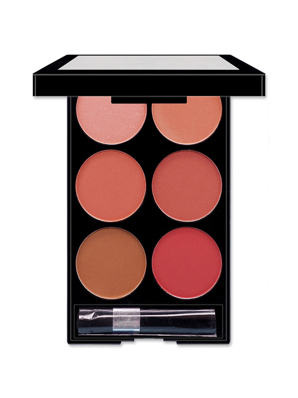 Profesional Makeup 6-color Blush Pallette