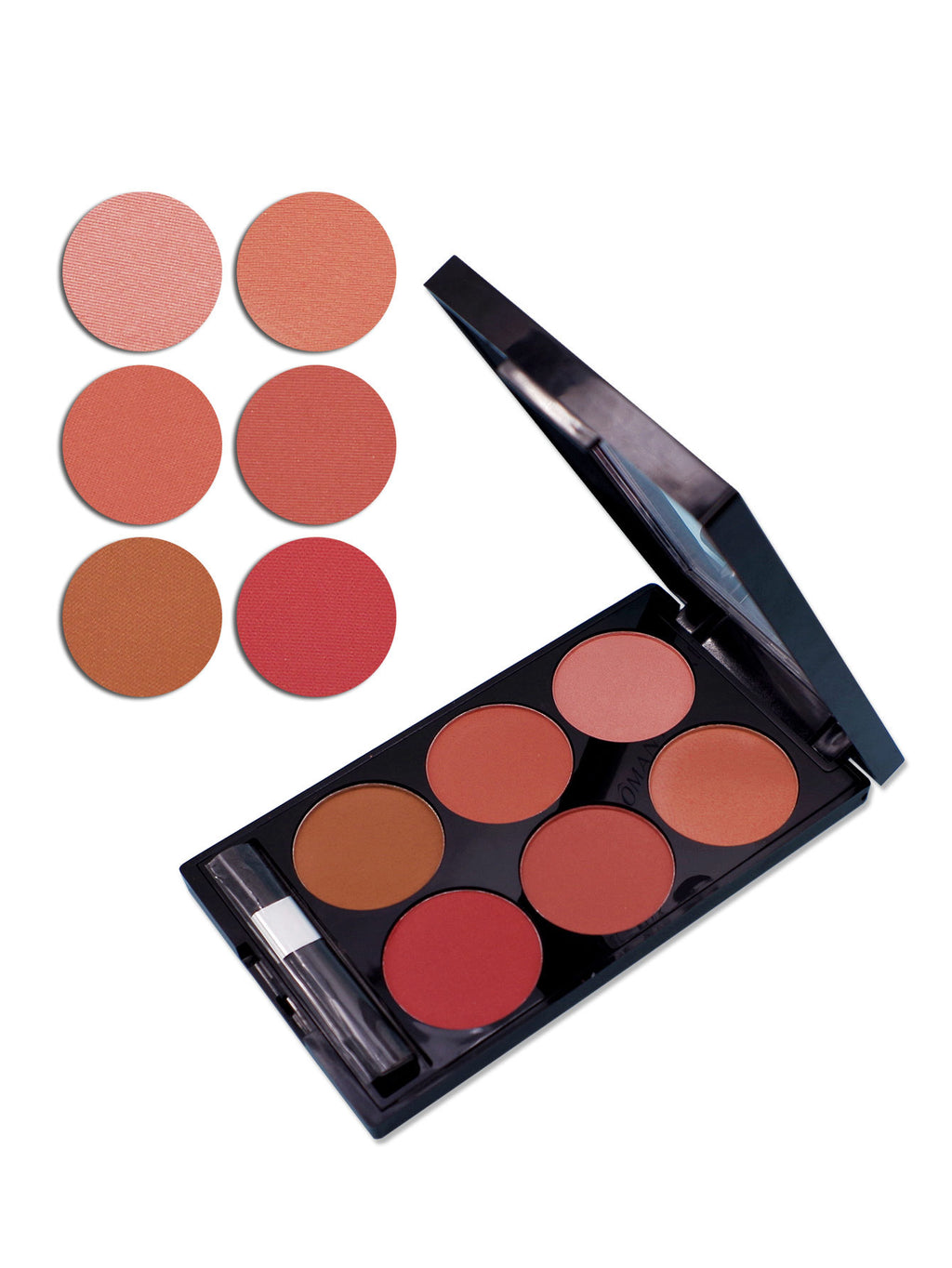 Profesional Makeup 6-color Blush Pallette